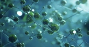 Biodiesel